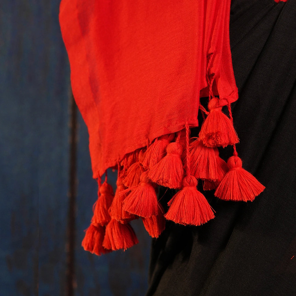 Black & Red Contrast Handcrafted Saree with Tassel Pallu