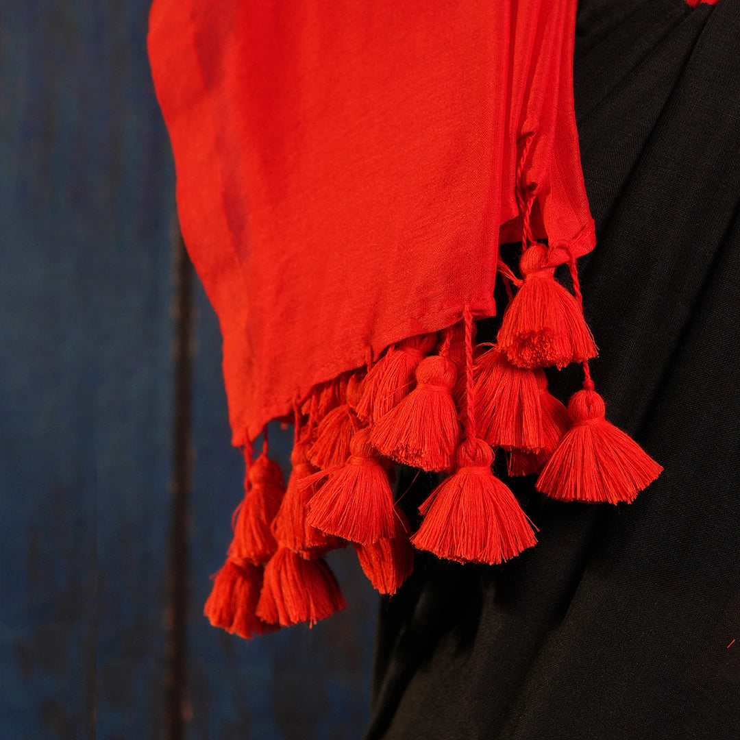 Black red contrast main character saree – handcrafted tassel pallu saree – Kottanz Loom Co